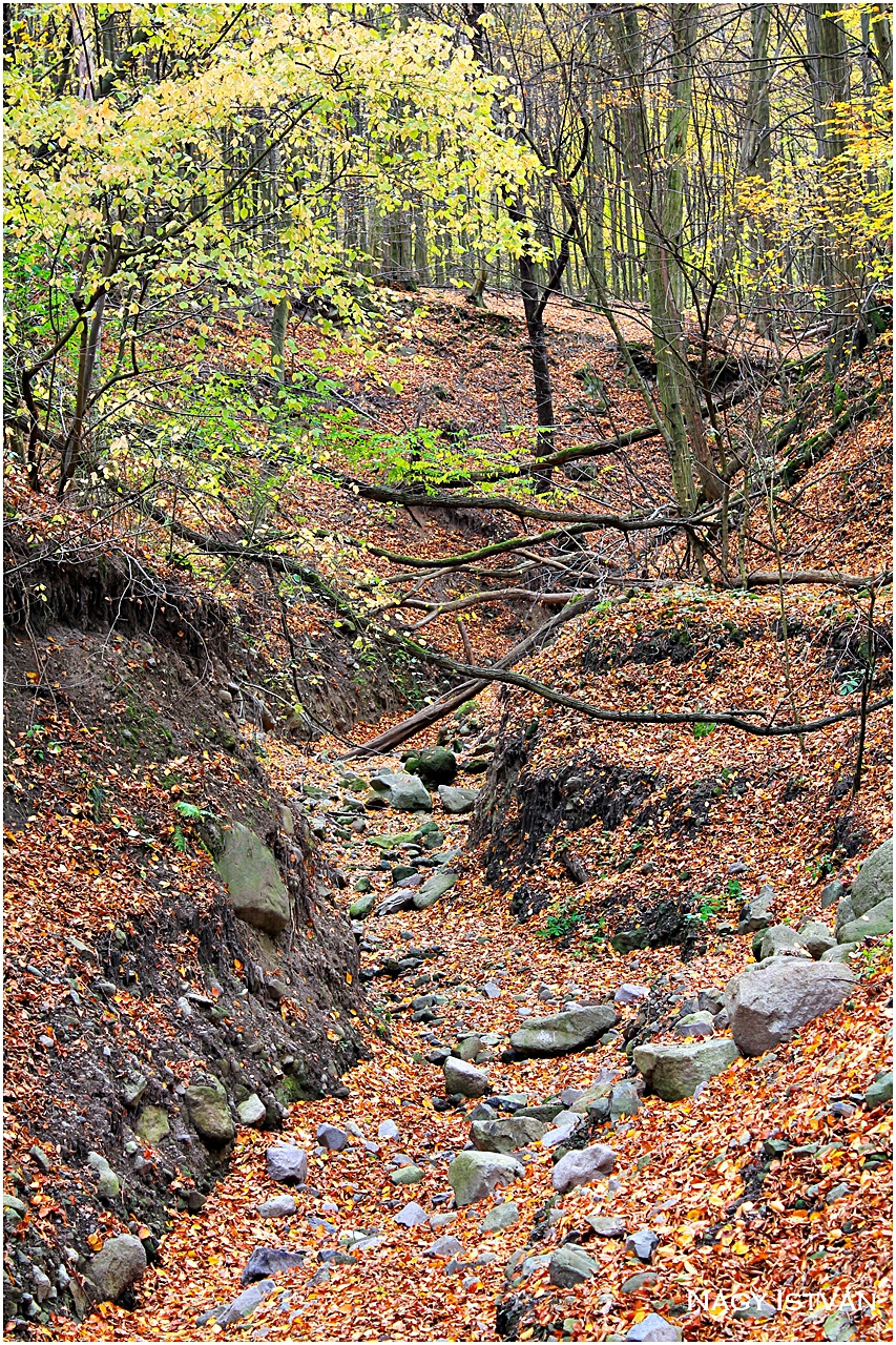 Vadálló-kövek túra 2013 028