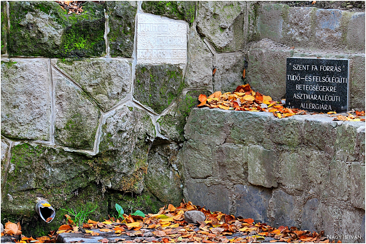 Vadálló-kövek túra 2013 051