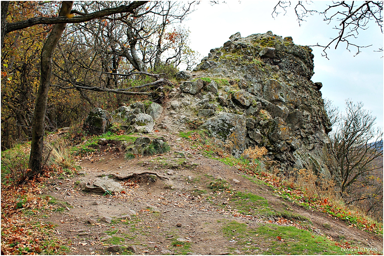 Vadálló-kövek túra 2013 060