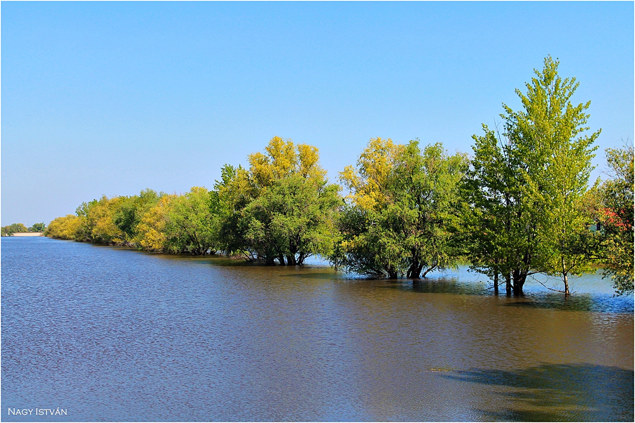 Hortobágy-Berettyó 2013 009