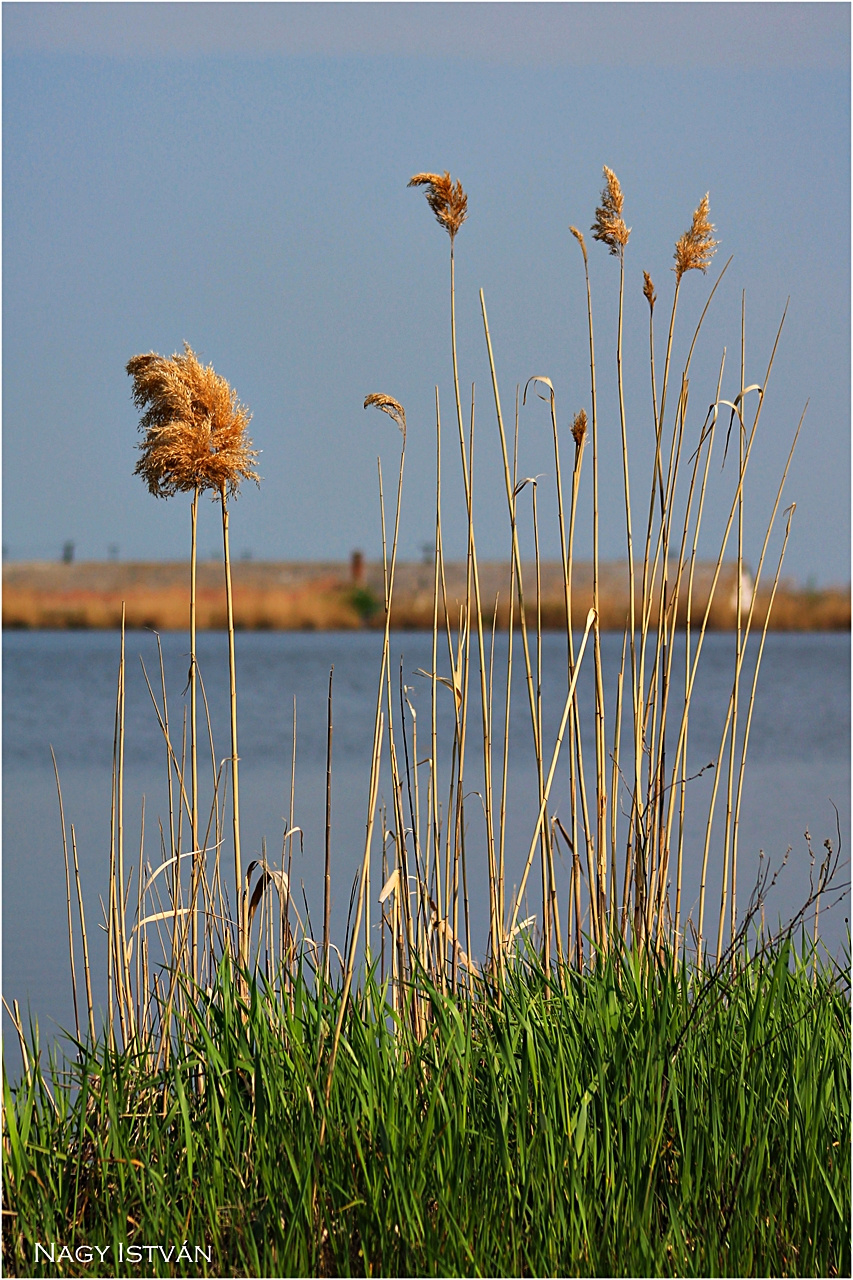 Hortobágy-Berettyó 2013 022