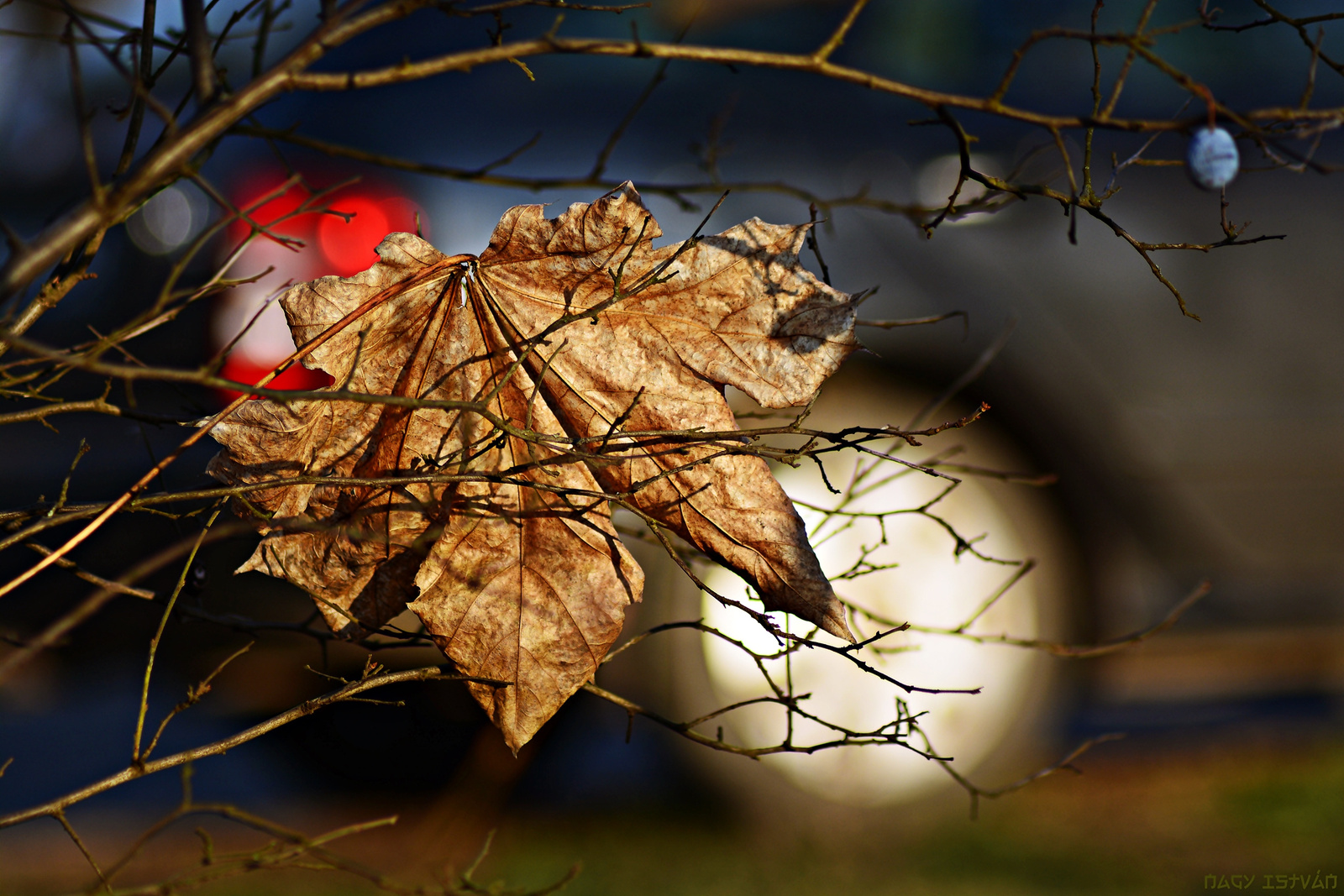 Leaves by car