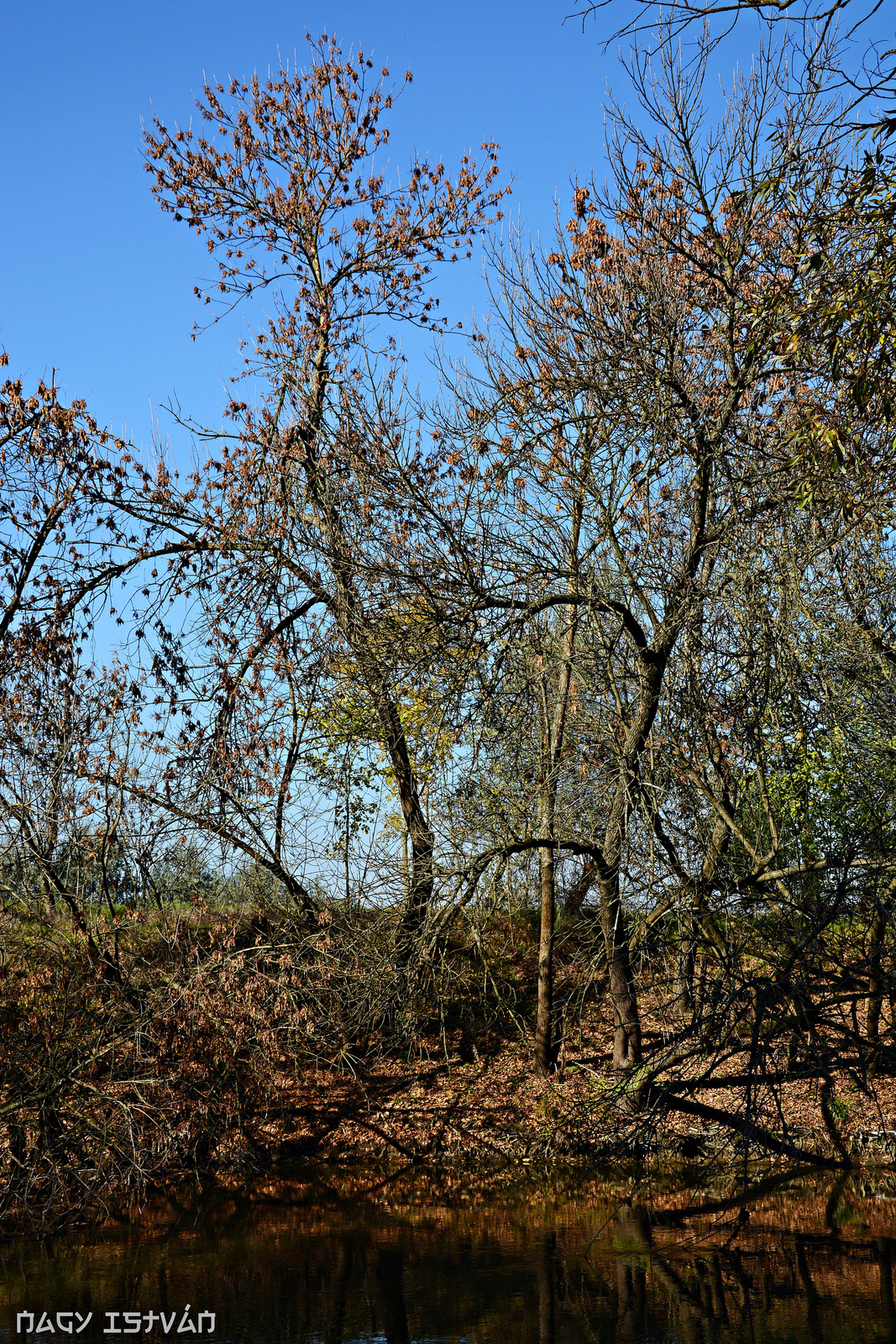 Hortobágy-Berettyó 2015 0143