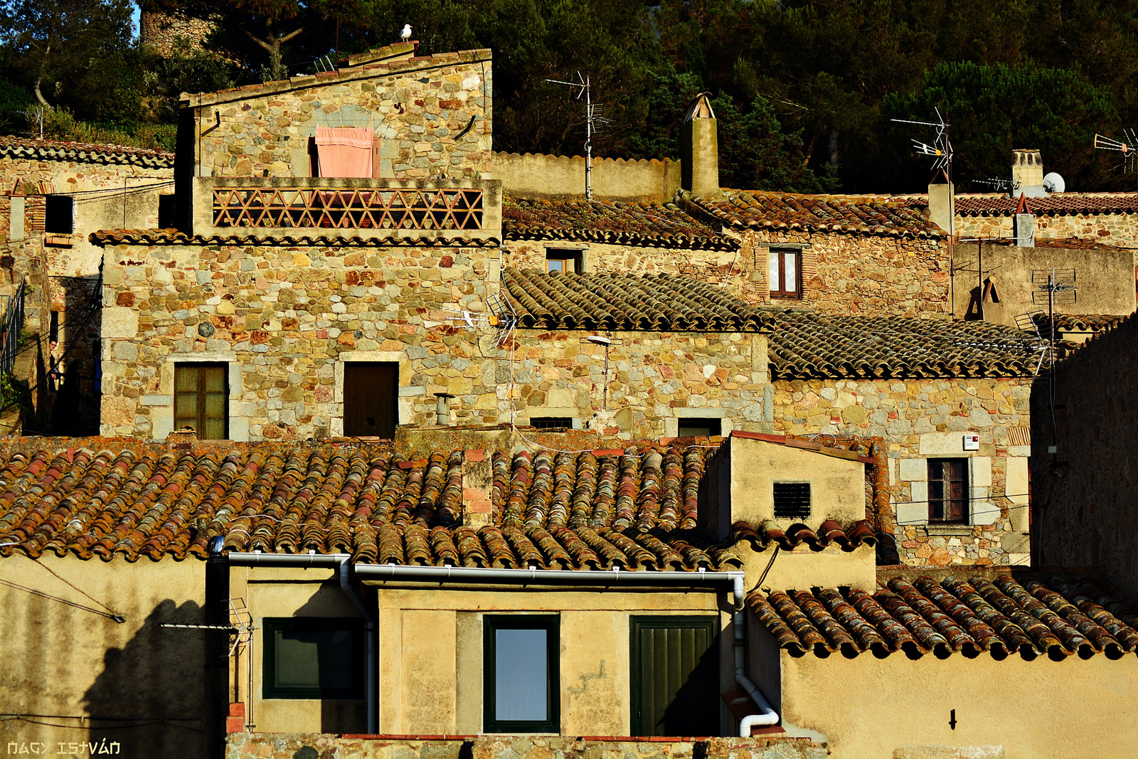 Tossa de Mar 1200