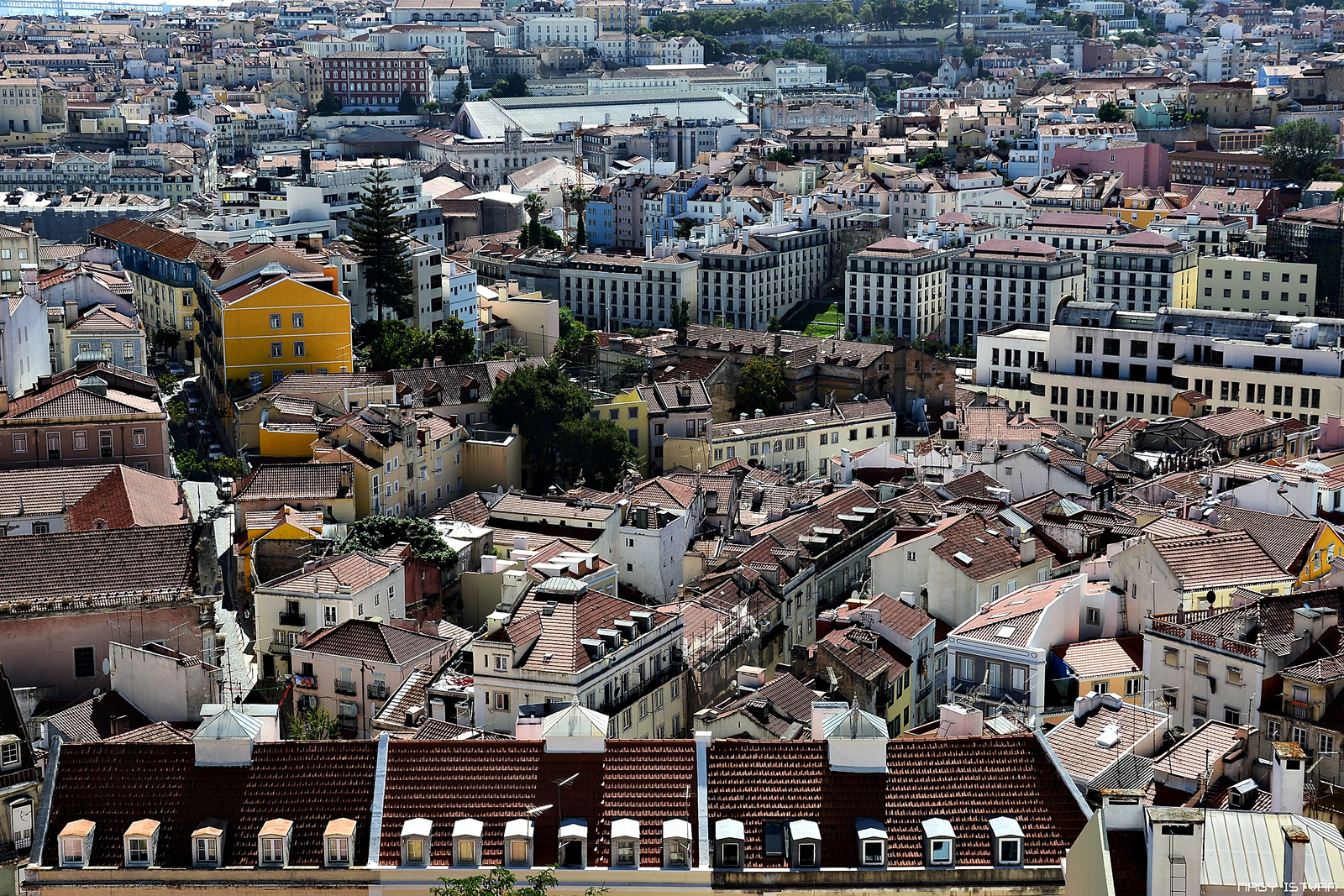 Lisszabon - Miradouro da Graça 4941