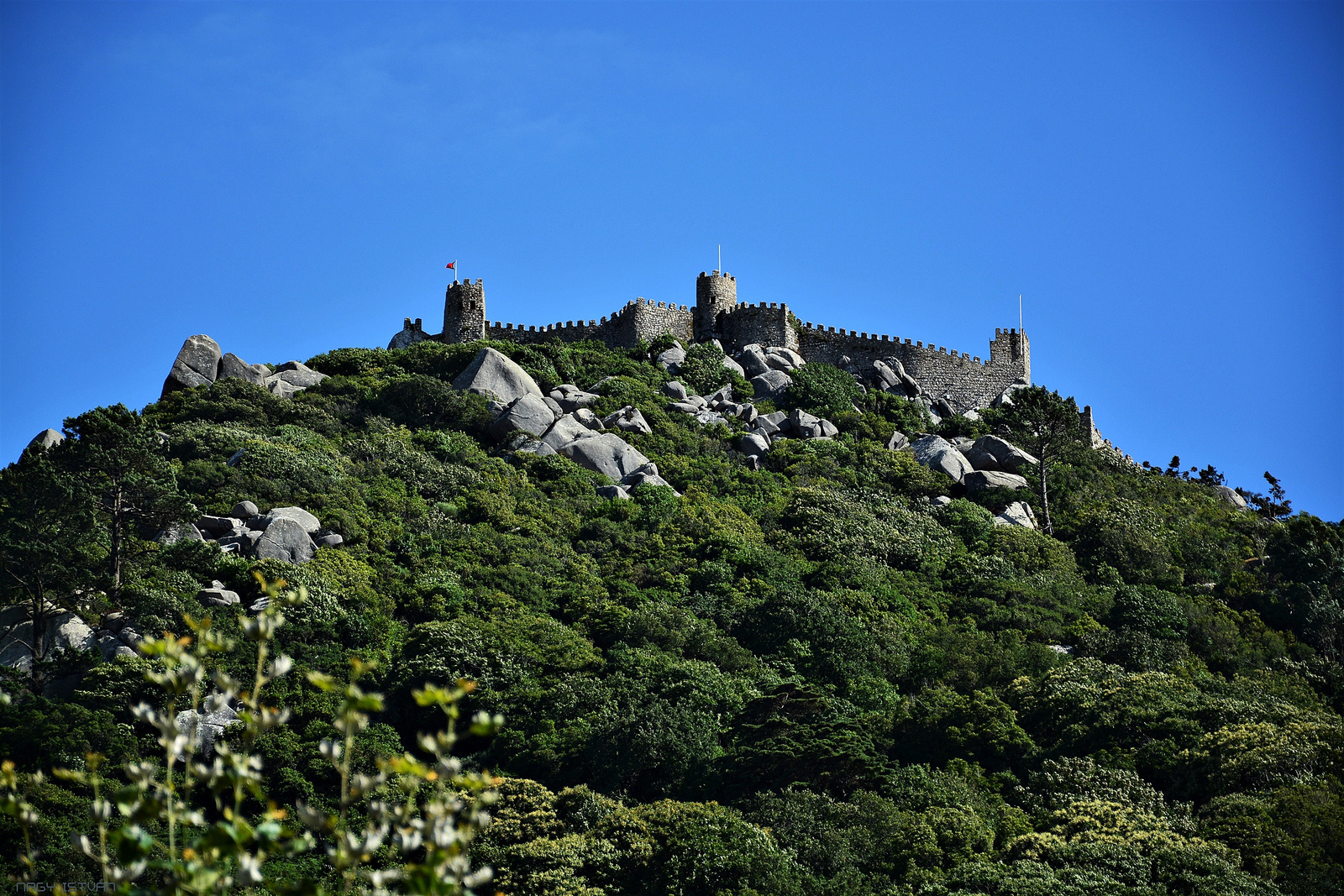 Sintra - Castle of the Moors 1731