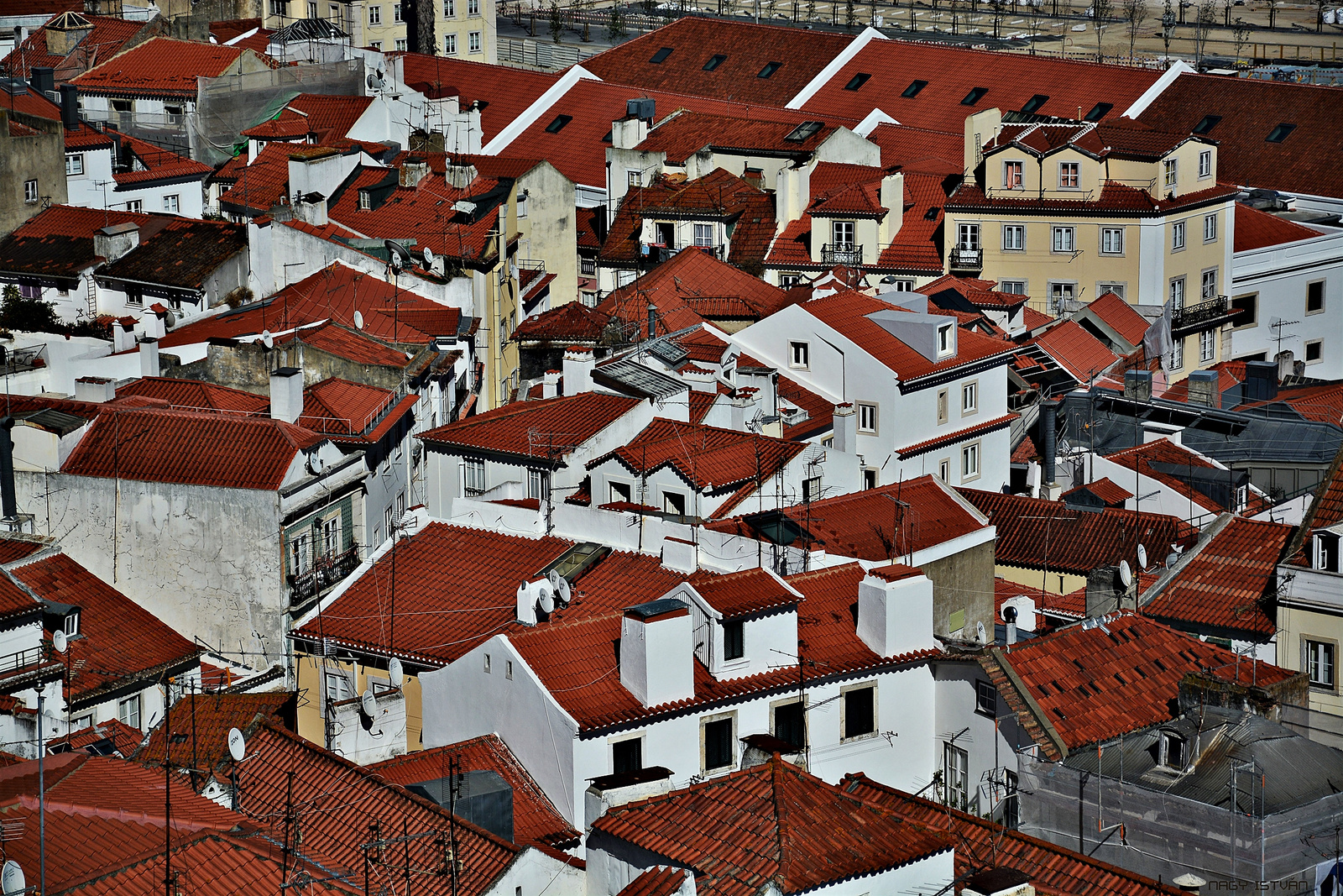 Lisbon - Alfama's rooftops 2850