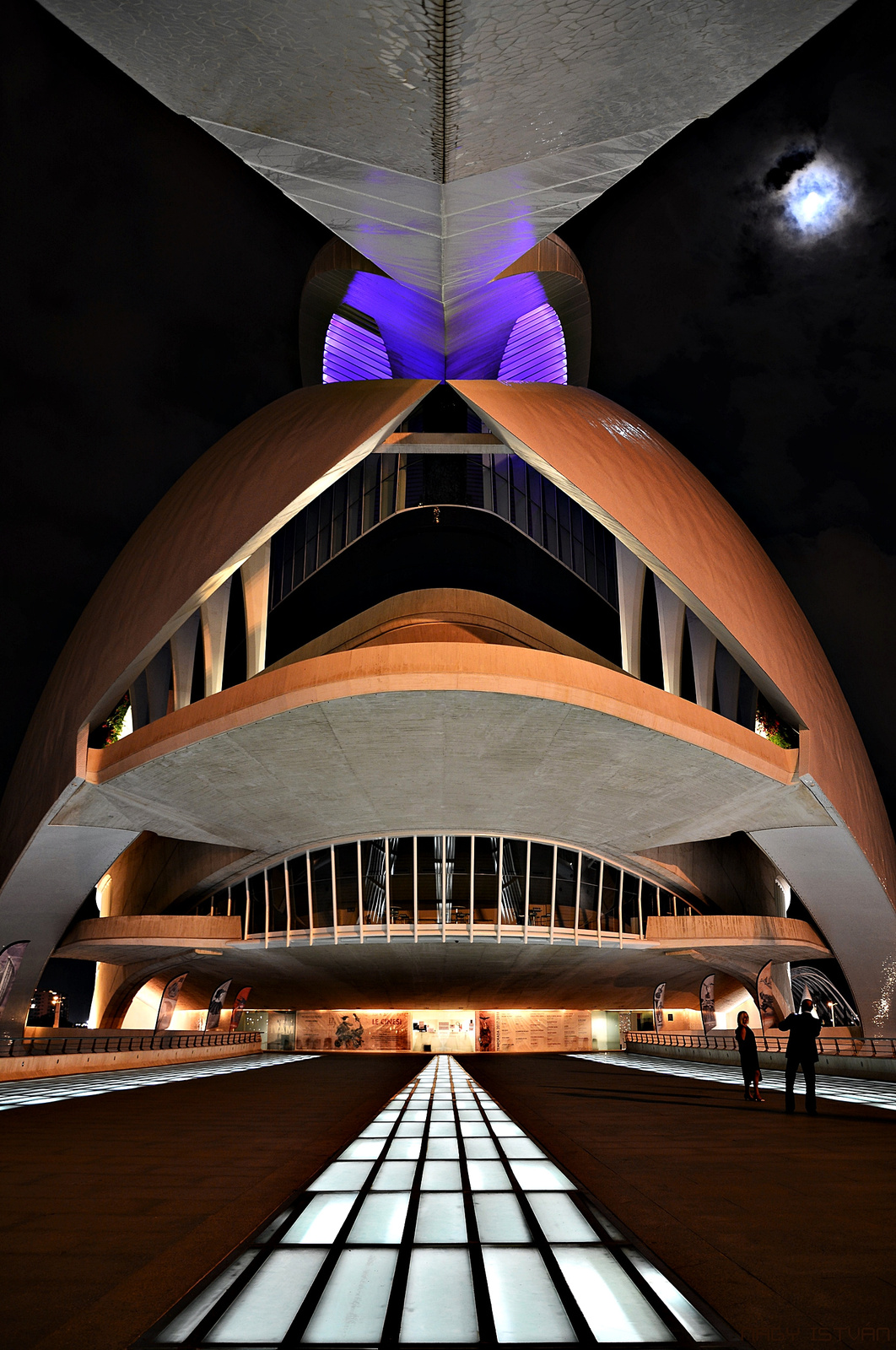 Valencia - Arts Palace of Queen Sofia Opera #4