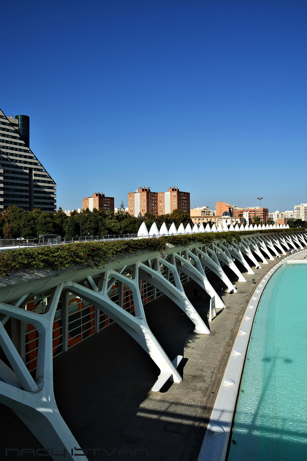 Valencia 0671 (2)