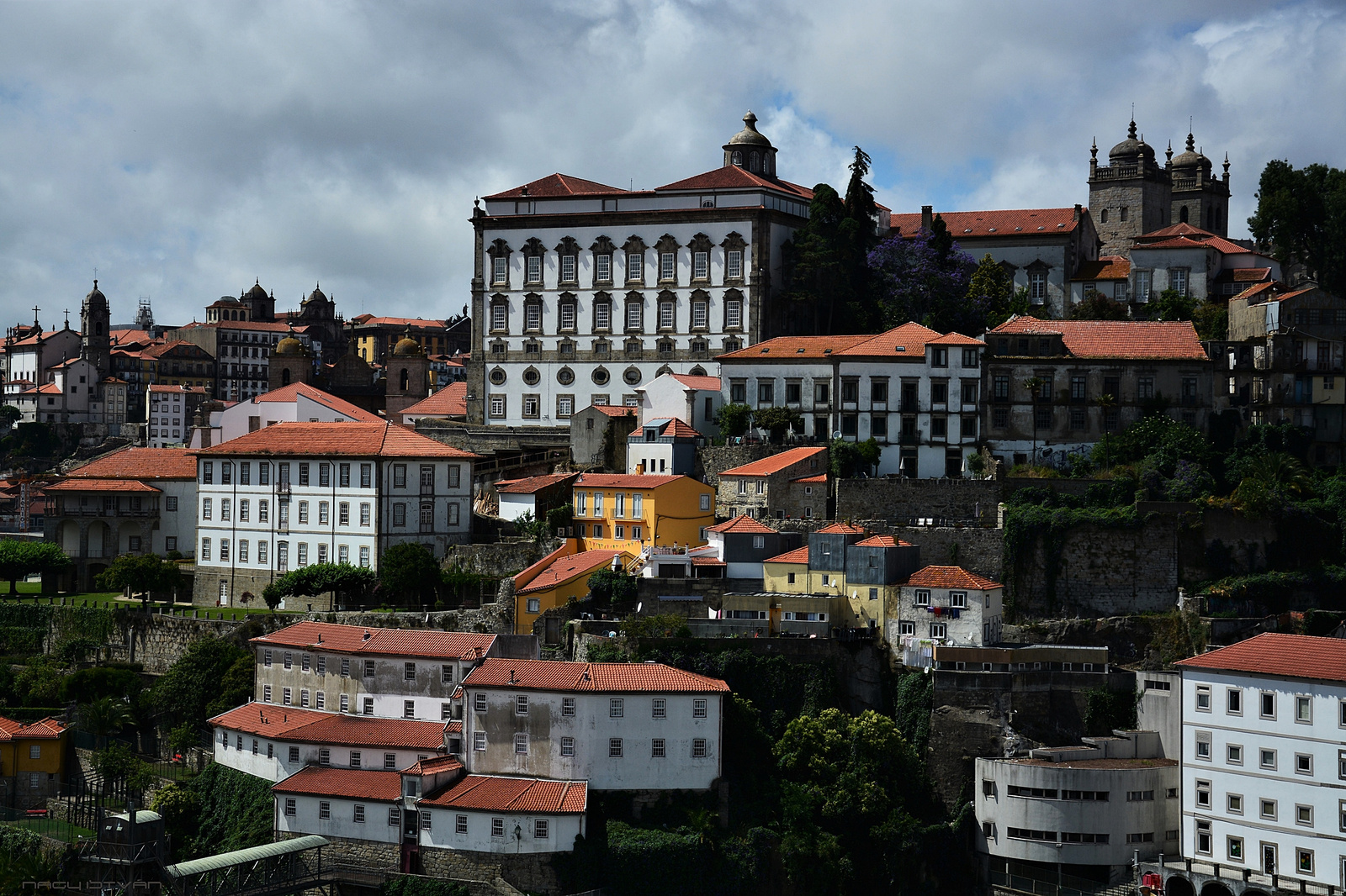 Porto 2018 0283 (2)