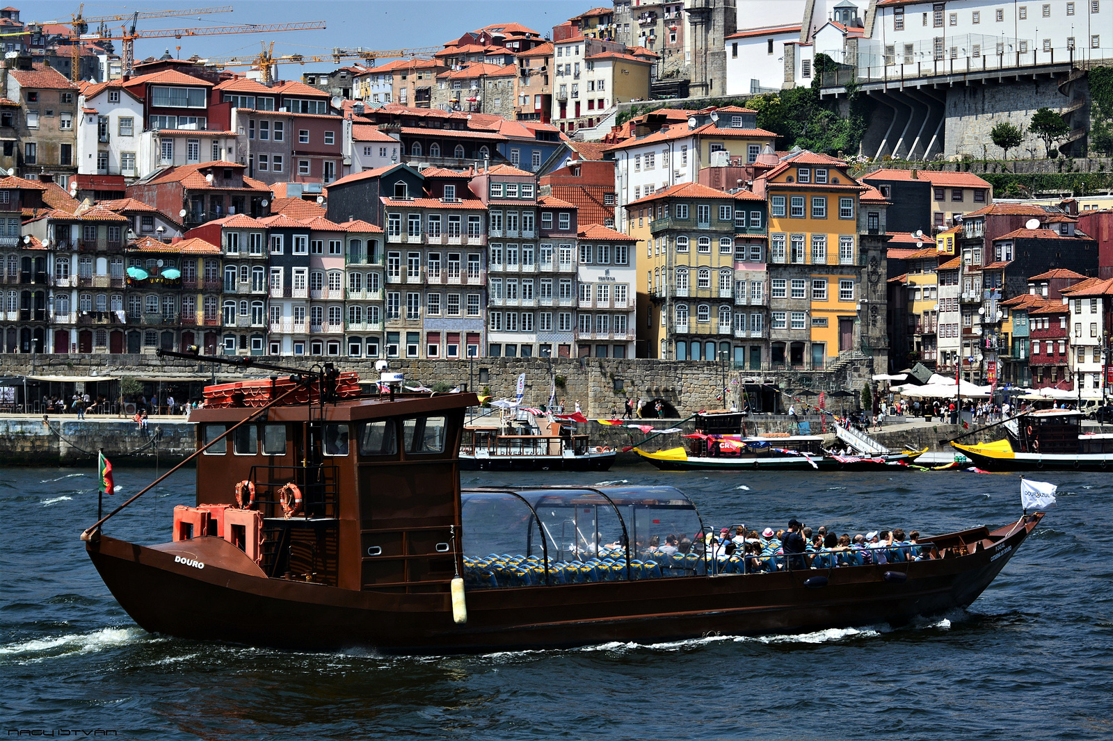 Porto 2018 2814 (2)