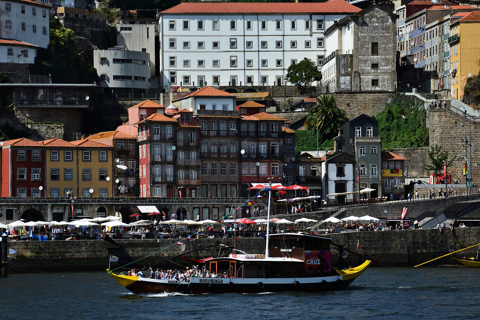 Porto 2018 1031 (2)