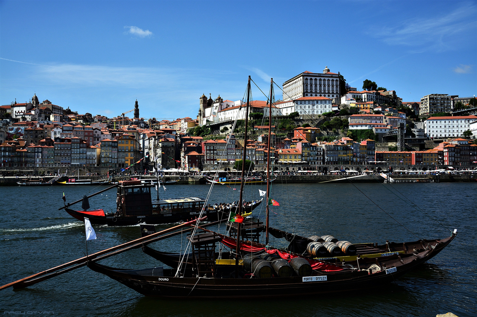 Porto 2018 1062 (2)