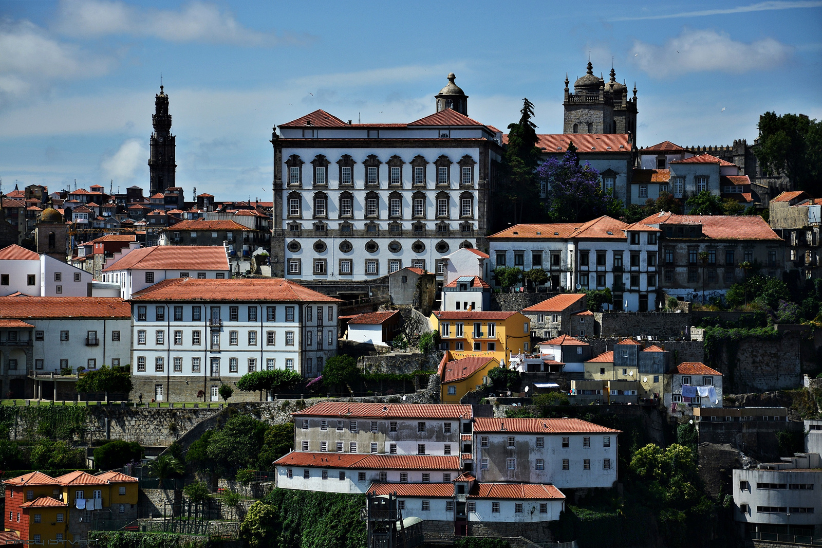 Porto 2018 0965 (2)
