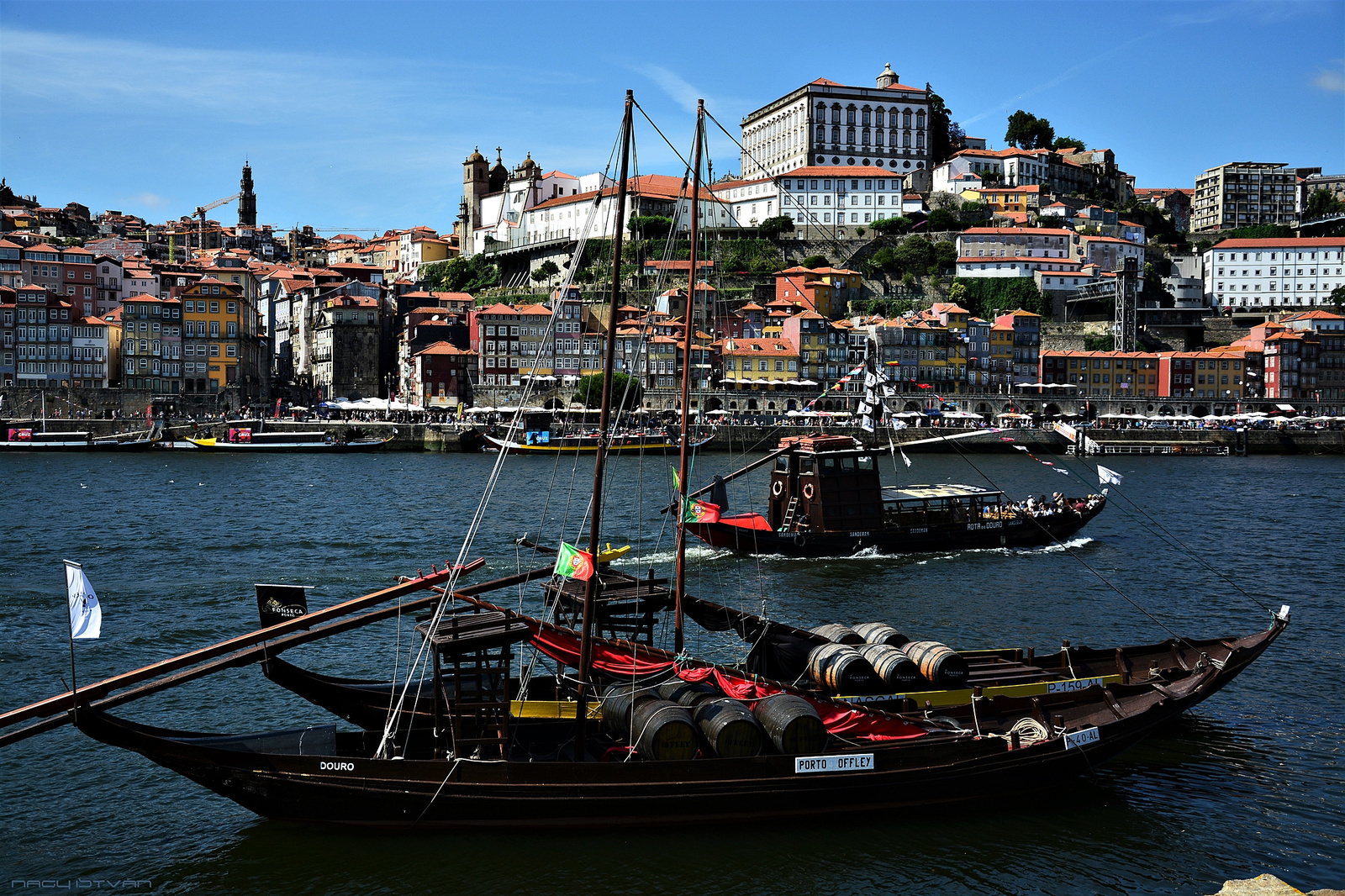 Porto 2018 1063 (2)