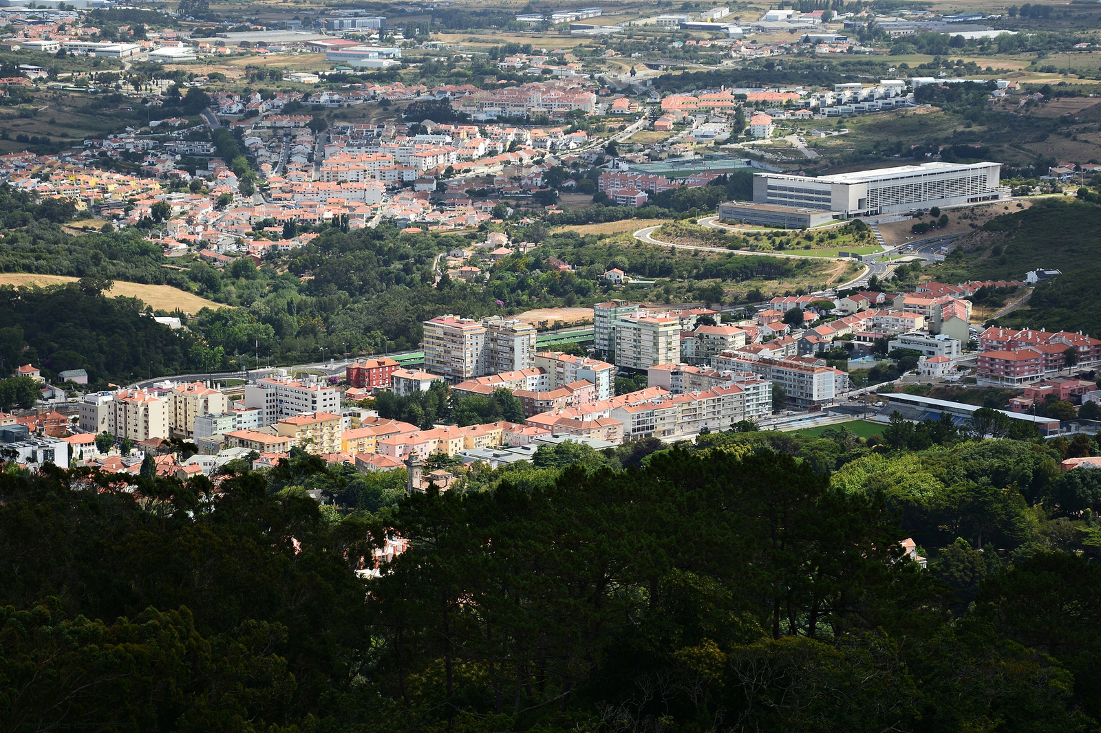 Lisszabon 1479