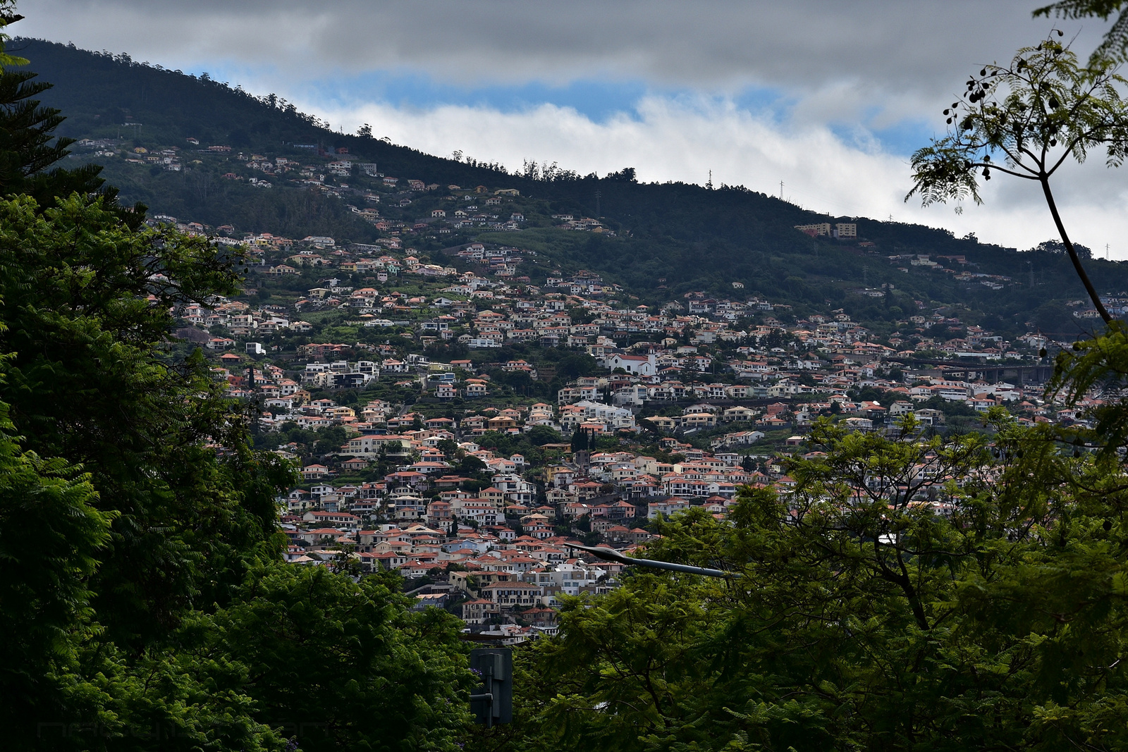 Madeira 2023 0543 00001