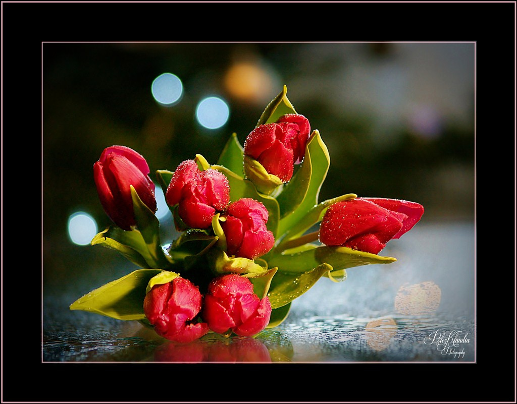 2012.01.07. tulipános (3)