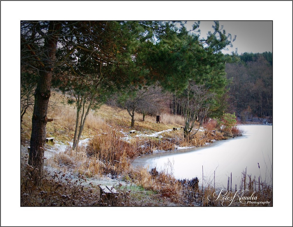 2012.01.21. januári délelőtt (35)