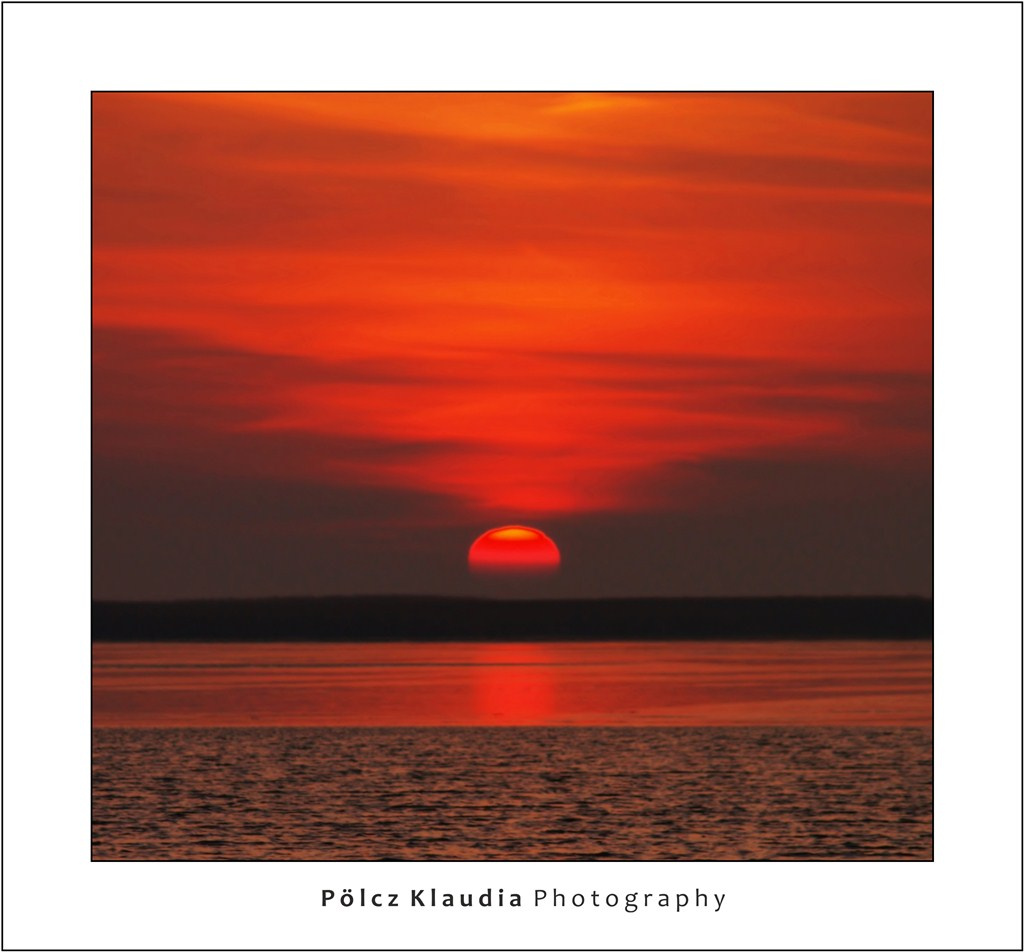 2012.01.28. Fertő tó (9)