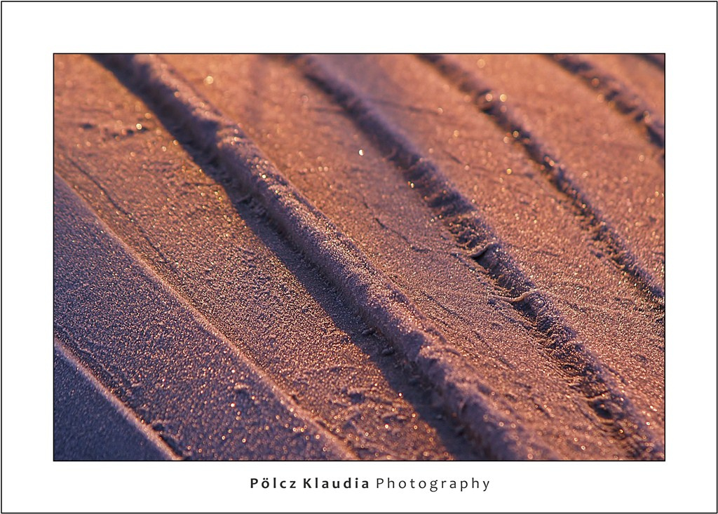 2012.01.28. Fertő tó (35)