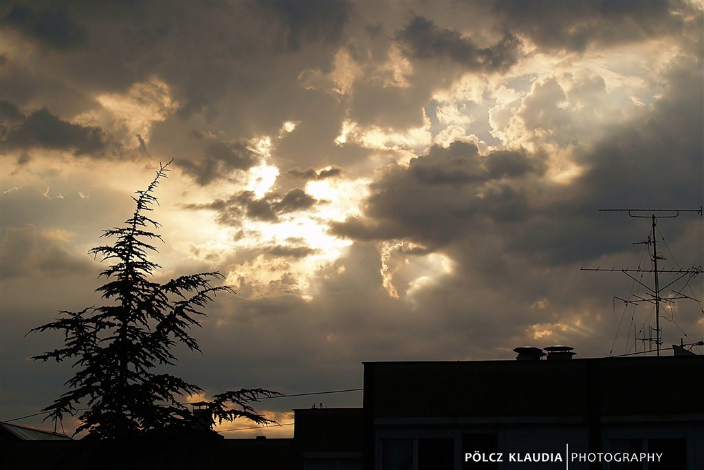 2012.07.04. esős reggelen