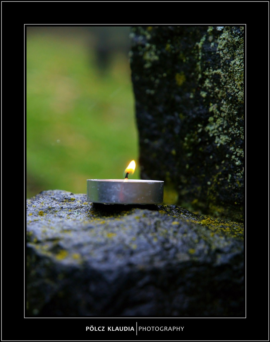 2012.11.02. Hősi temetőben (4) másolata