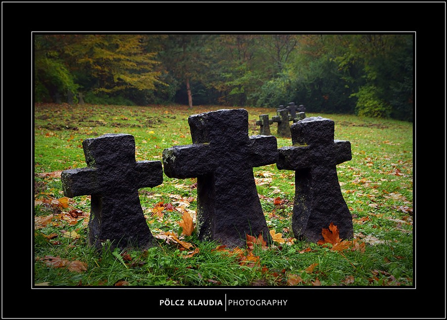 2012.11.02. Hősi temetőben (5)