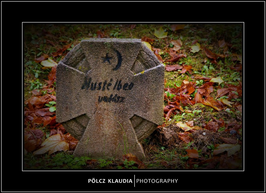 2012.11.02. Hősi temetőben (11)