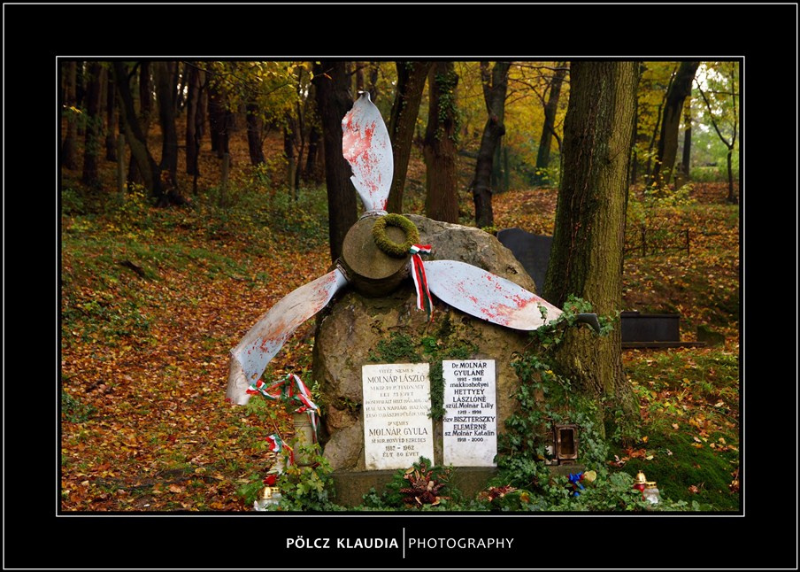 2012.11.02. Hősi temetőben (22)