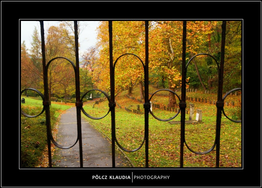 2012.11.02. Hősi temetőben (26)