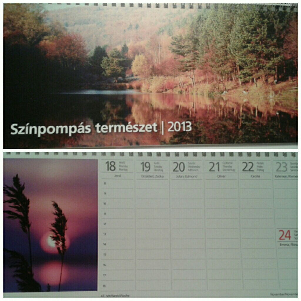Az egyik képem a naptár borítója a másik meg a 47. hét képe