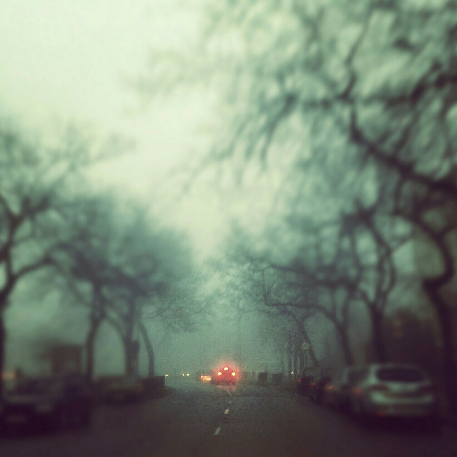 Csütörtök reggeli köd
