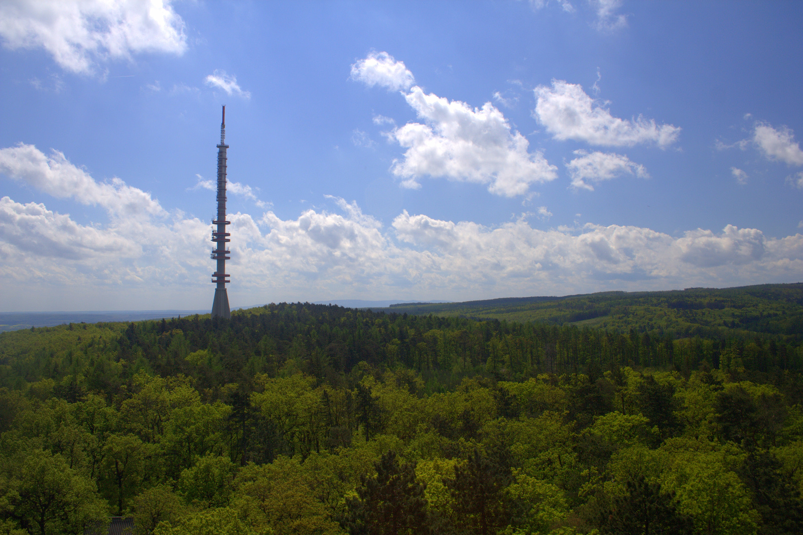 Károlyi-kilátó, Lővérek