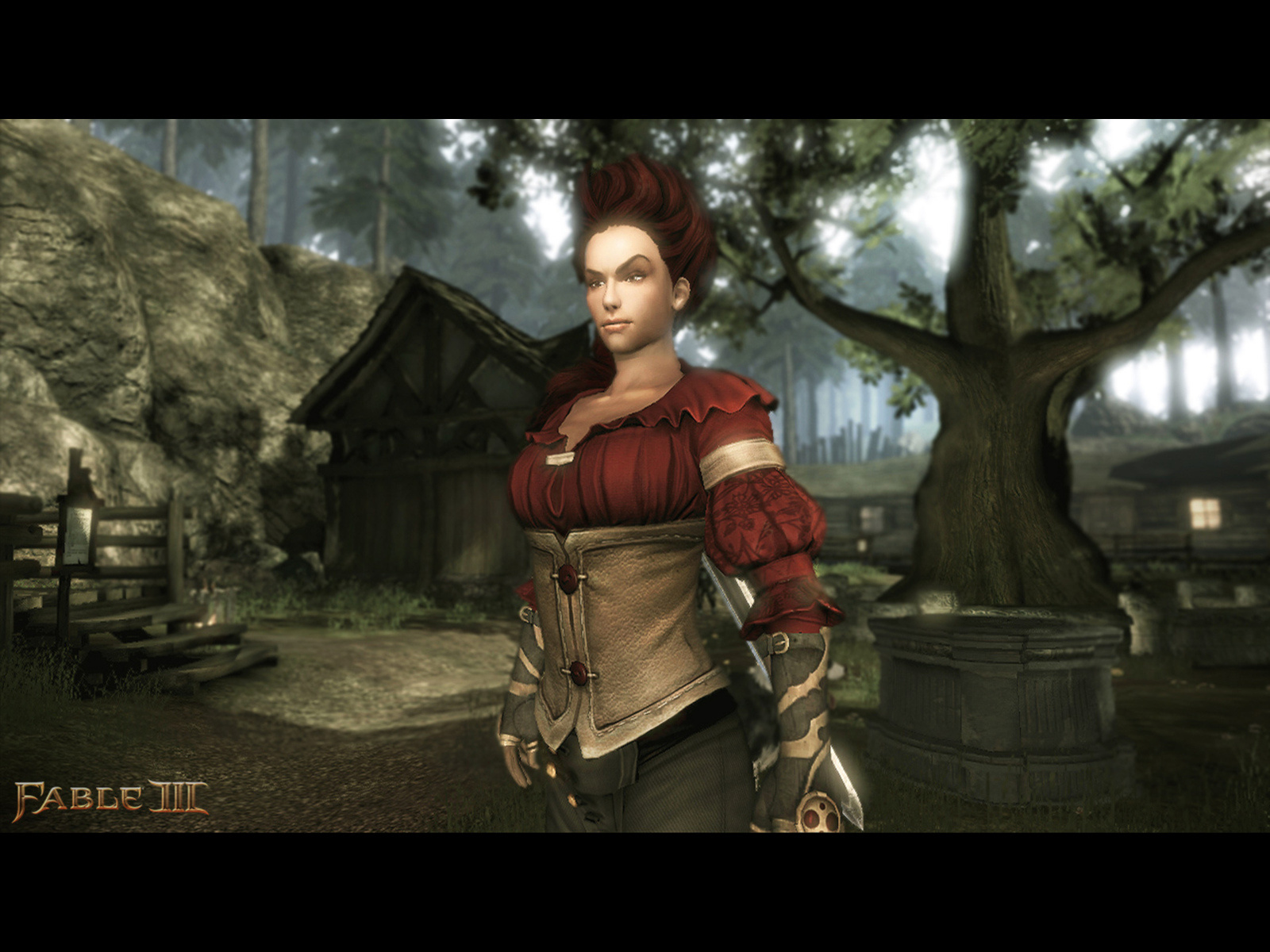 Fable3