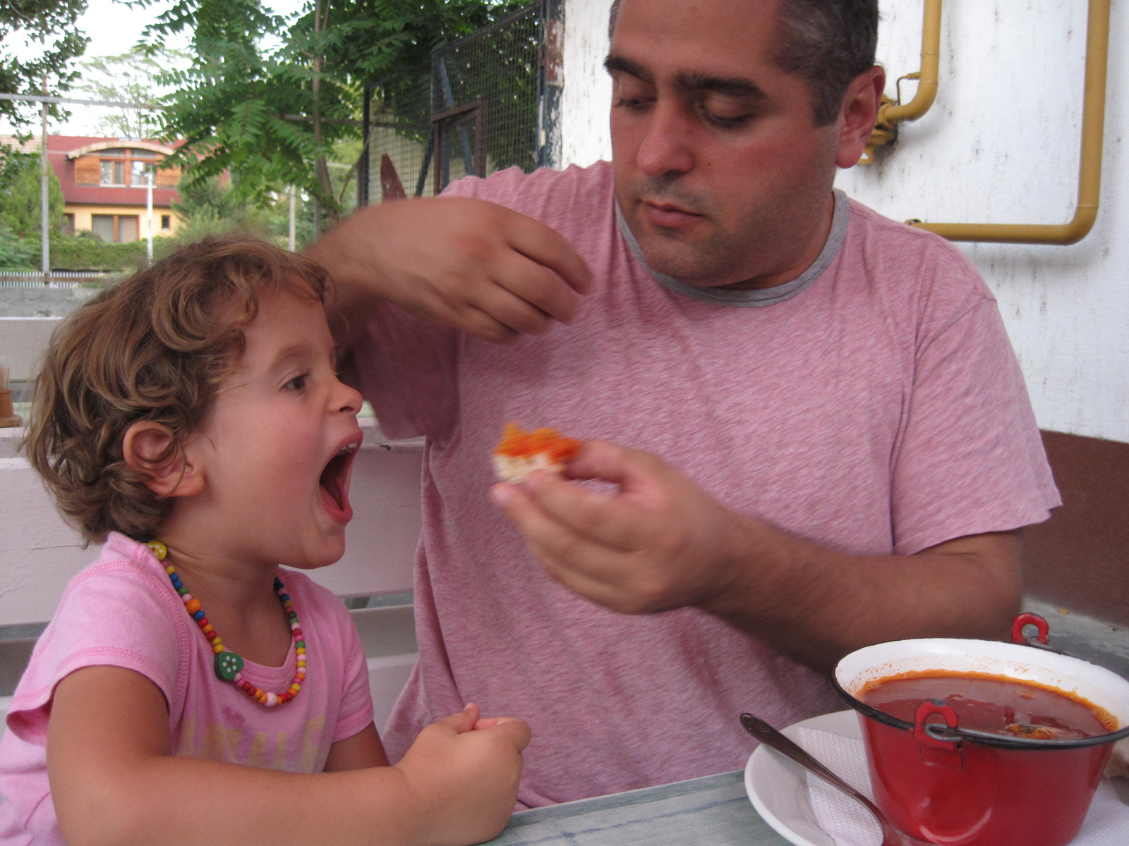 fish soup in siofok