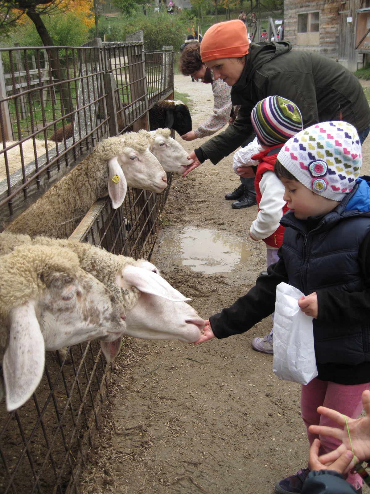 petting zoo in vienna