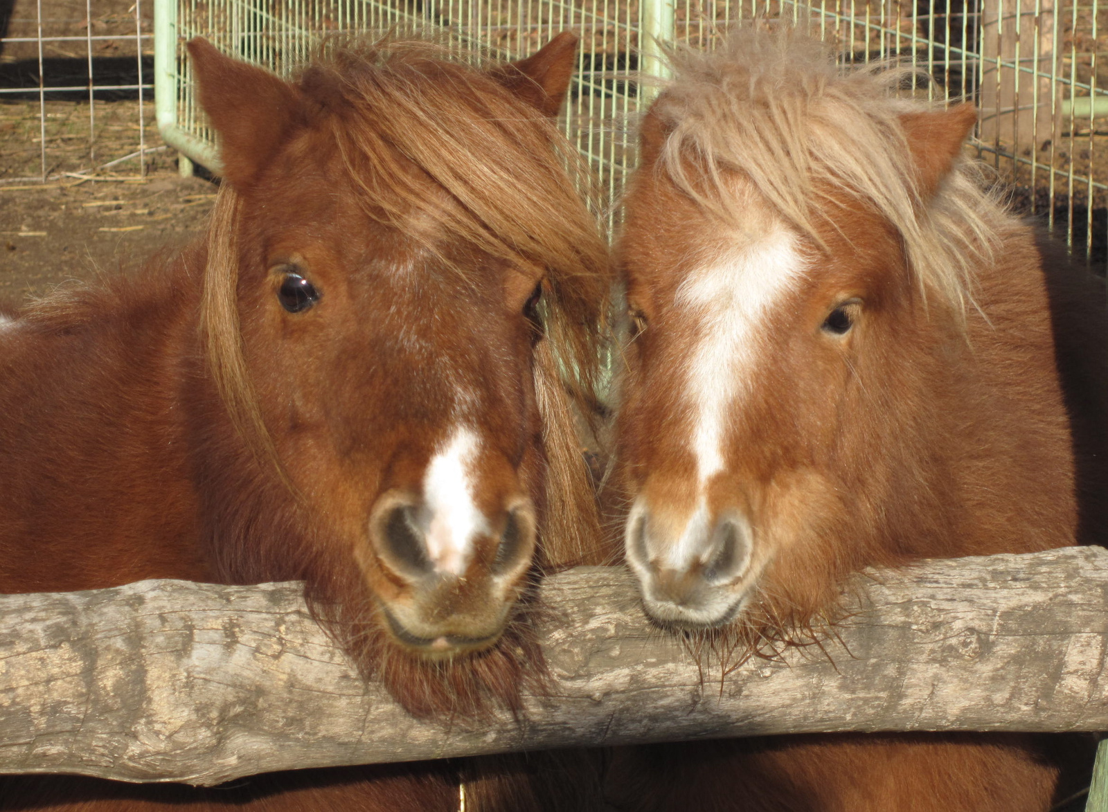 verus and mazli (mother and son)