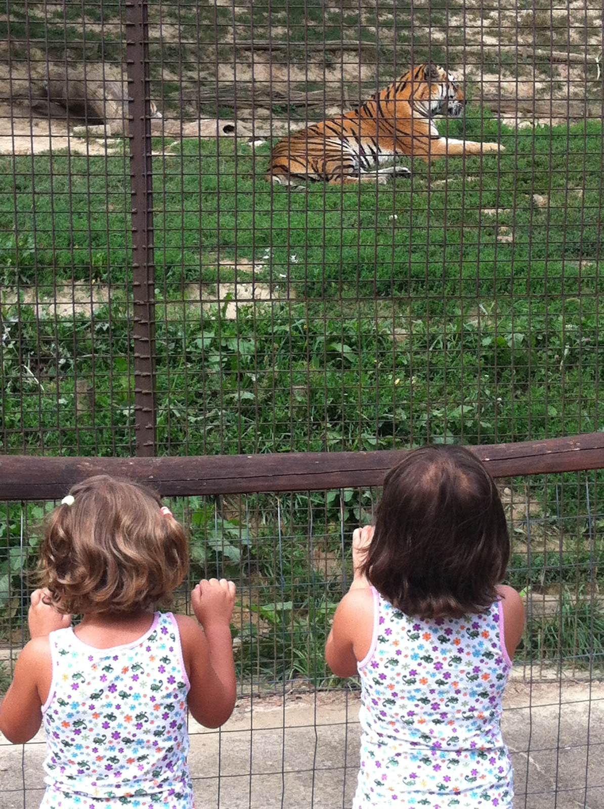 veszprem zoo