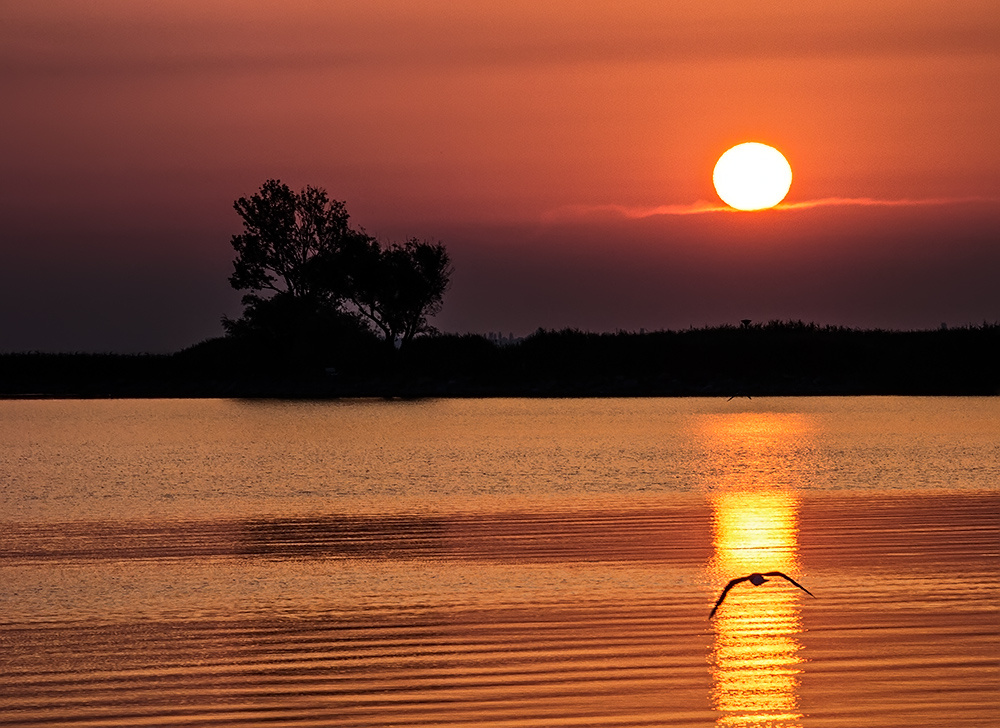 Reggel a tónál / Sunrise at the lake