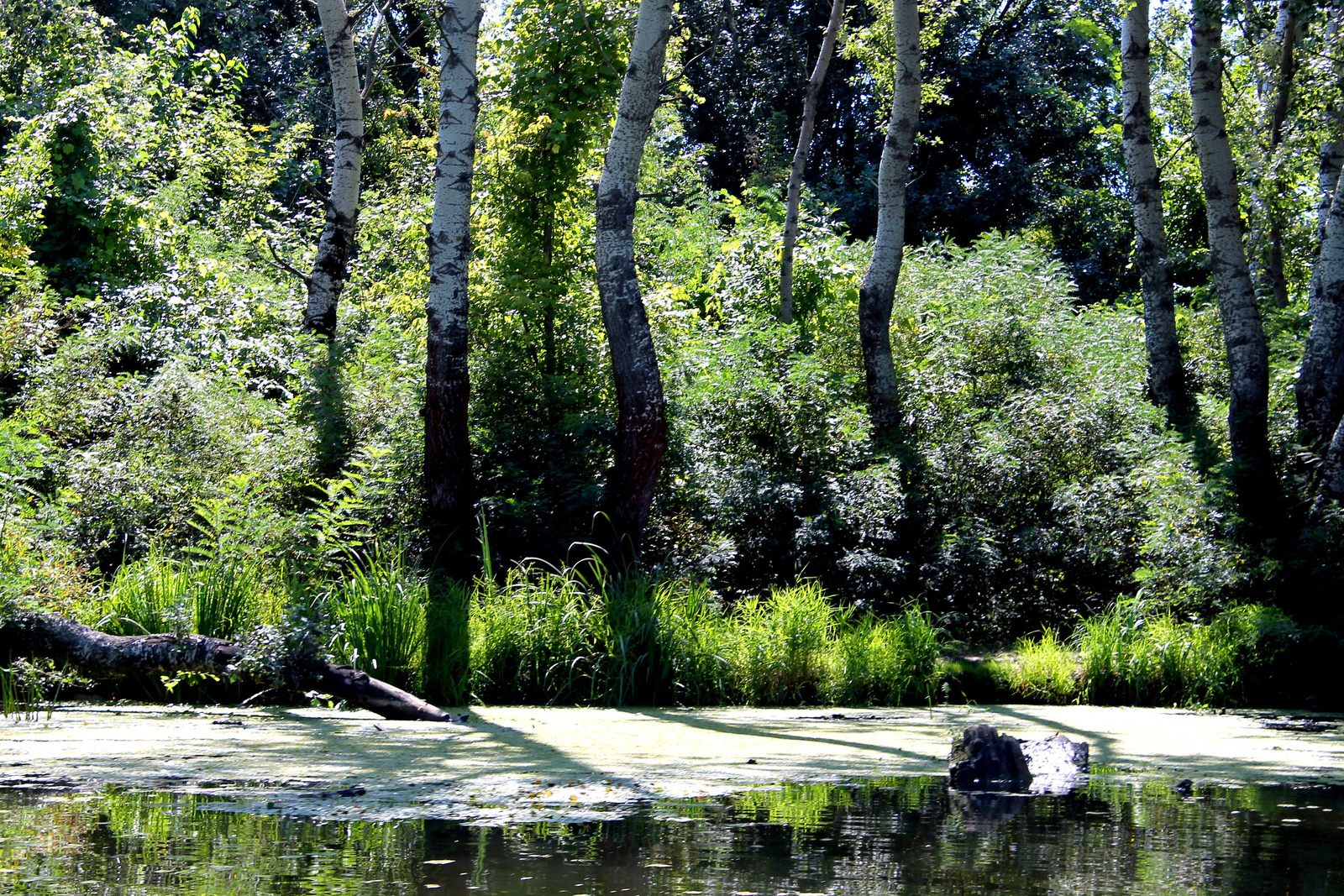 TISZA TAVI OKOCENTRUM 13