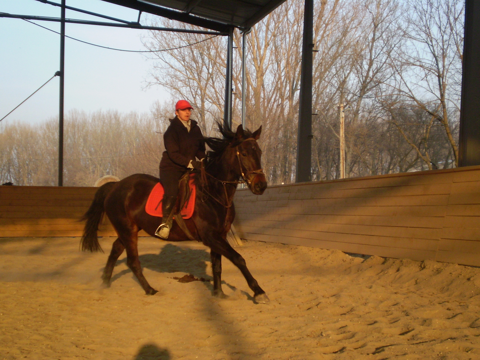 2008 02 20 Trészivel vágtázok 2