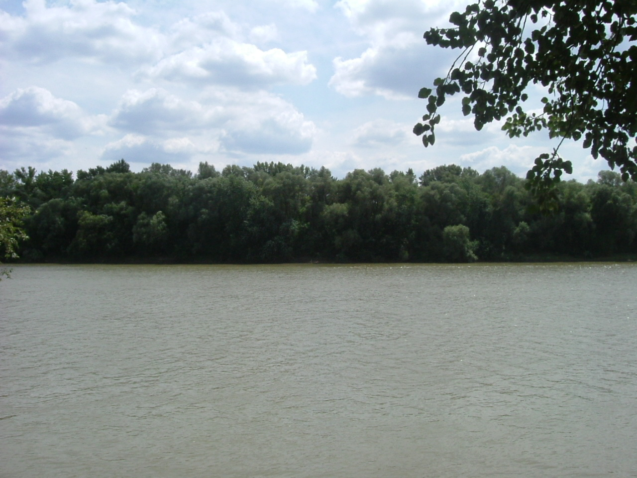 Tisza part