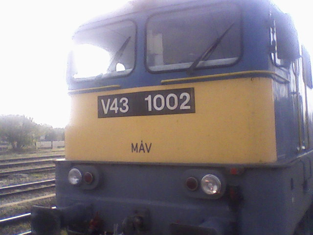 V43-1002