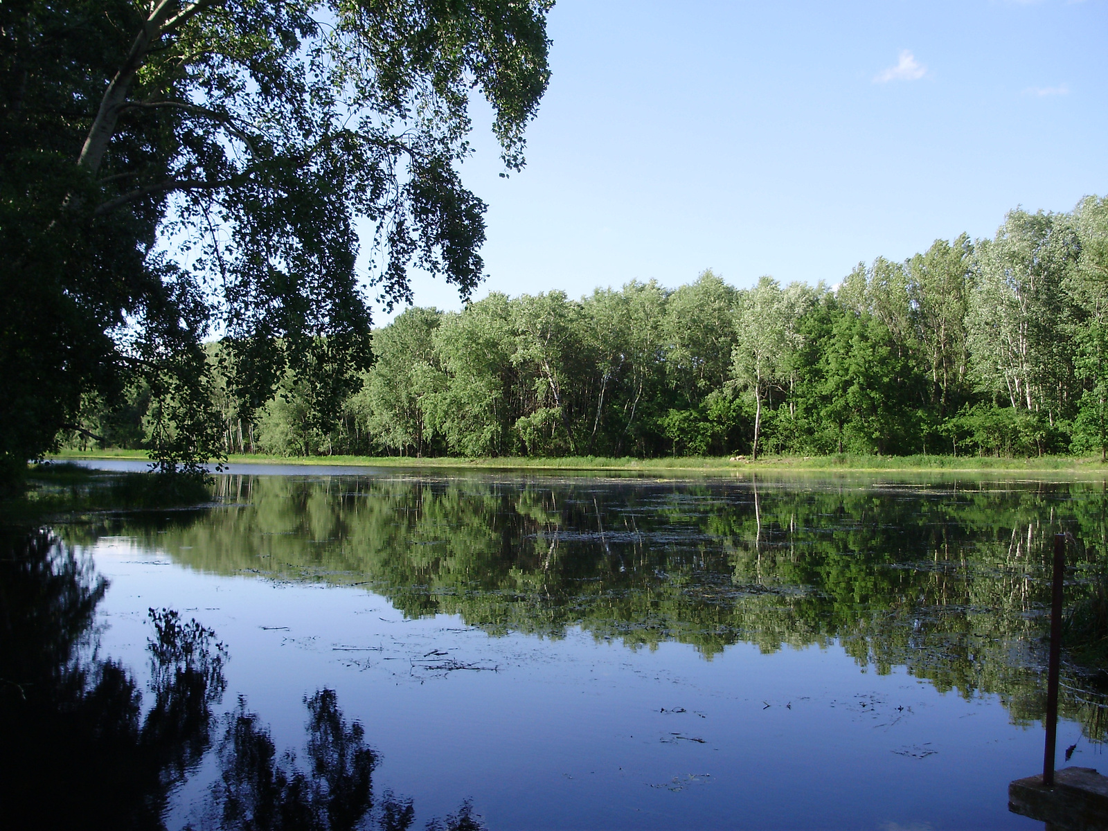 Kelebiai halastó