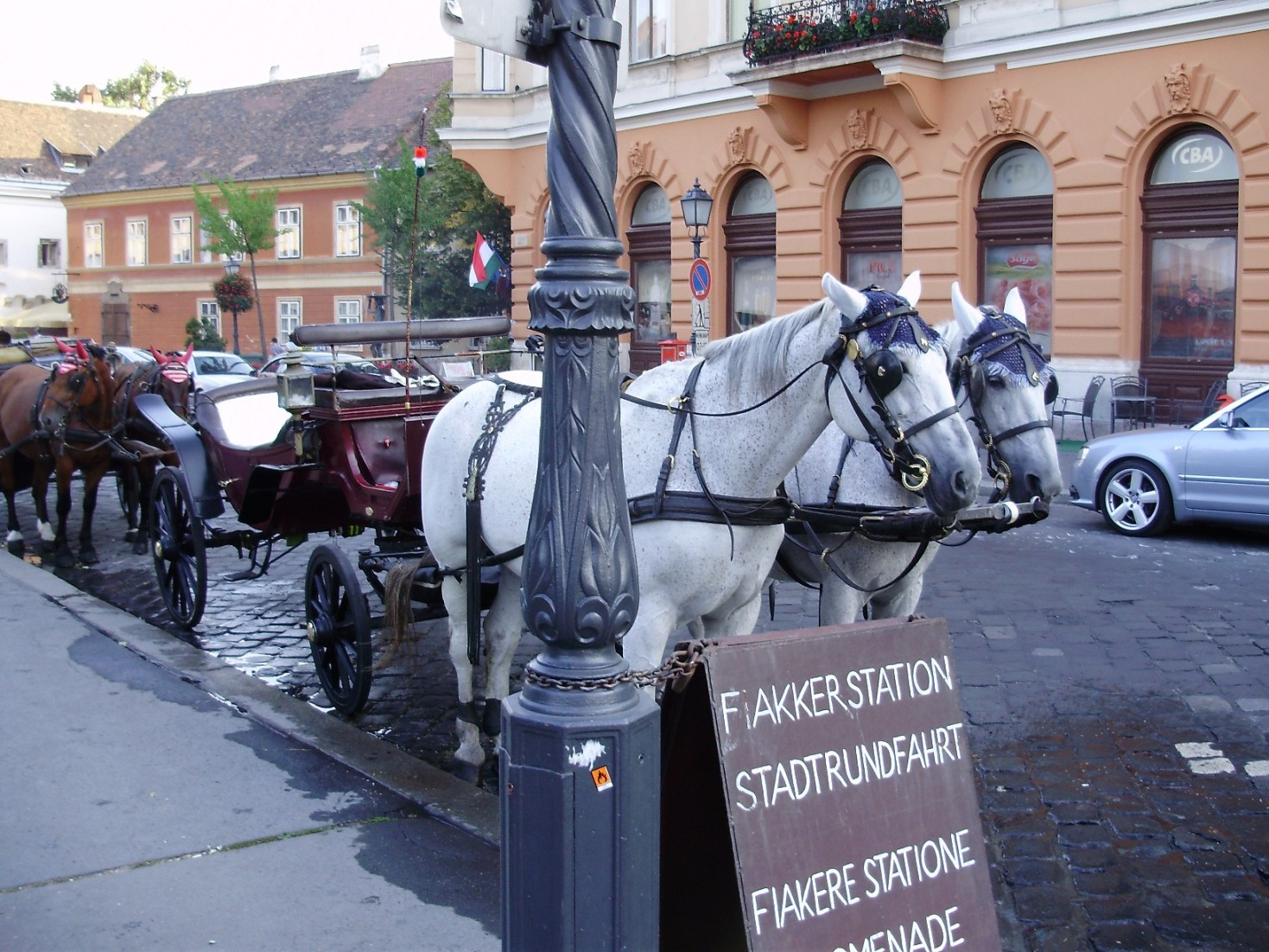 Budapest 2008 08. 314