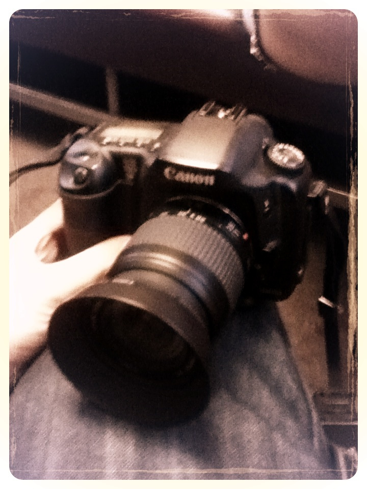 Canon 10D.