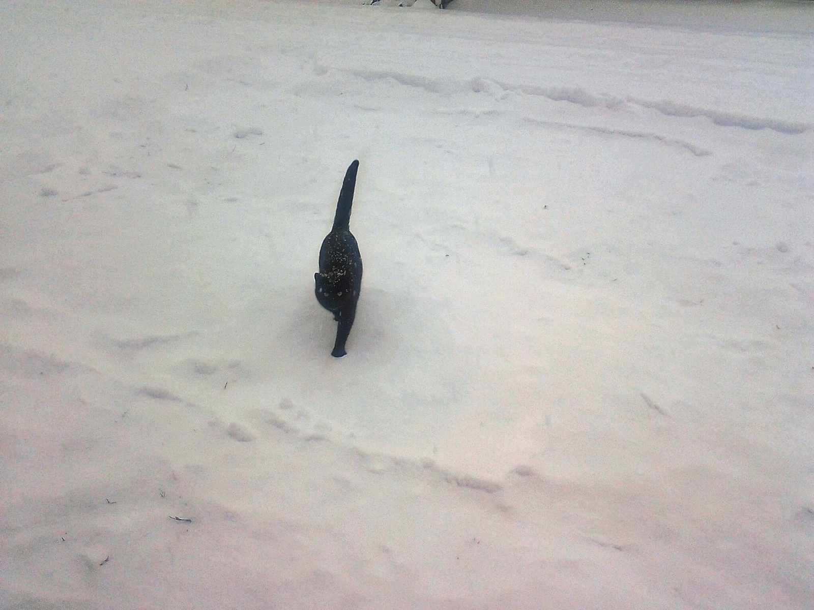 séta a hóesésben