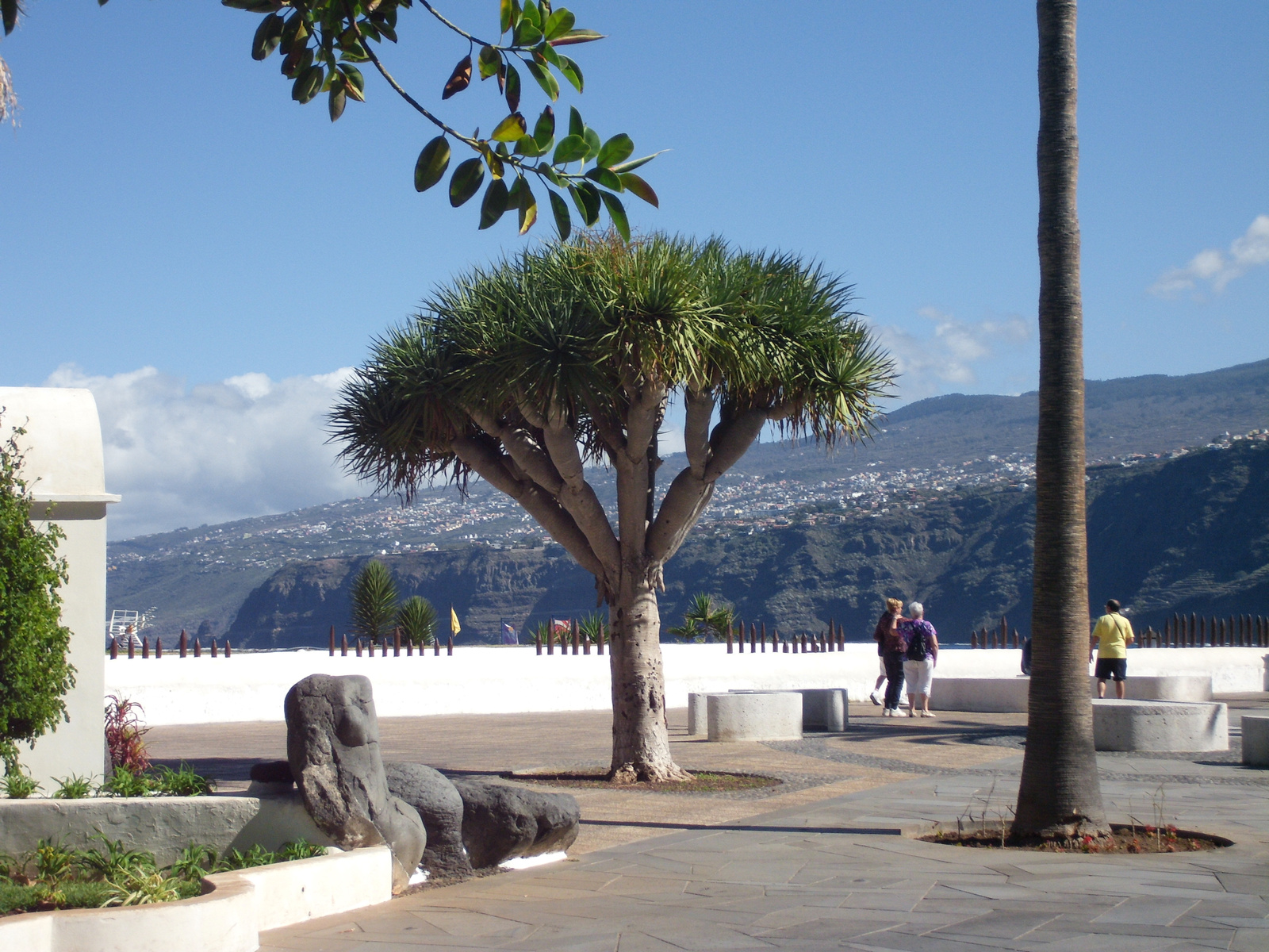 Lago Martinez