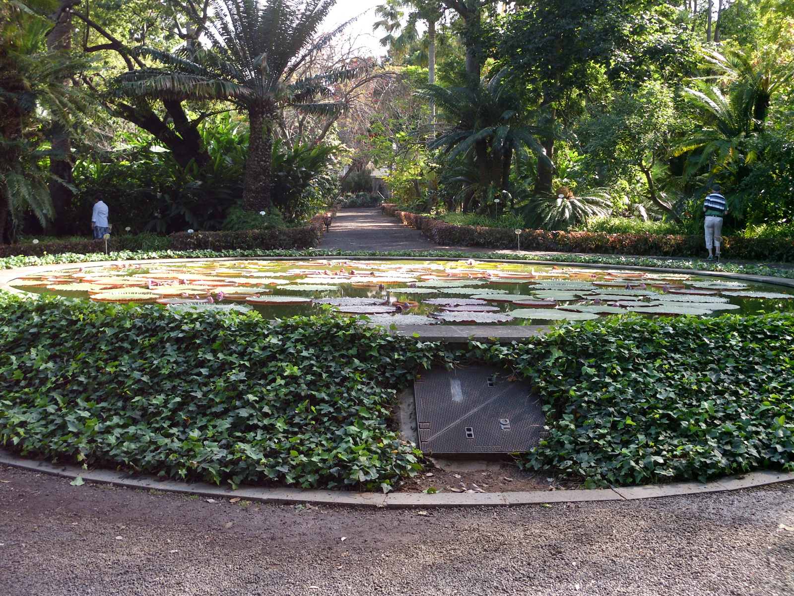 Pto Cruz arborétum